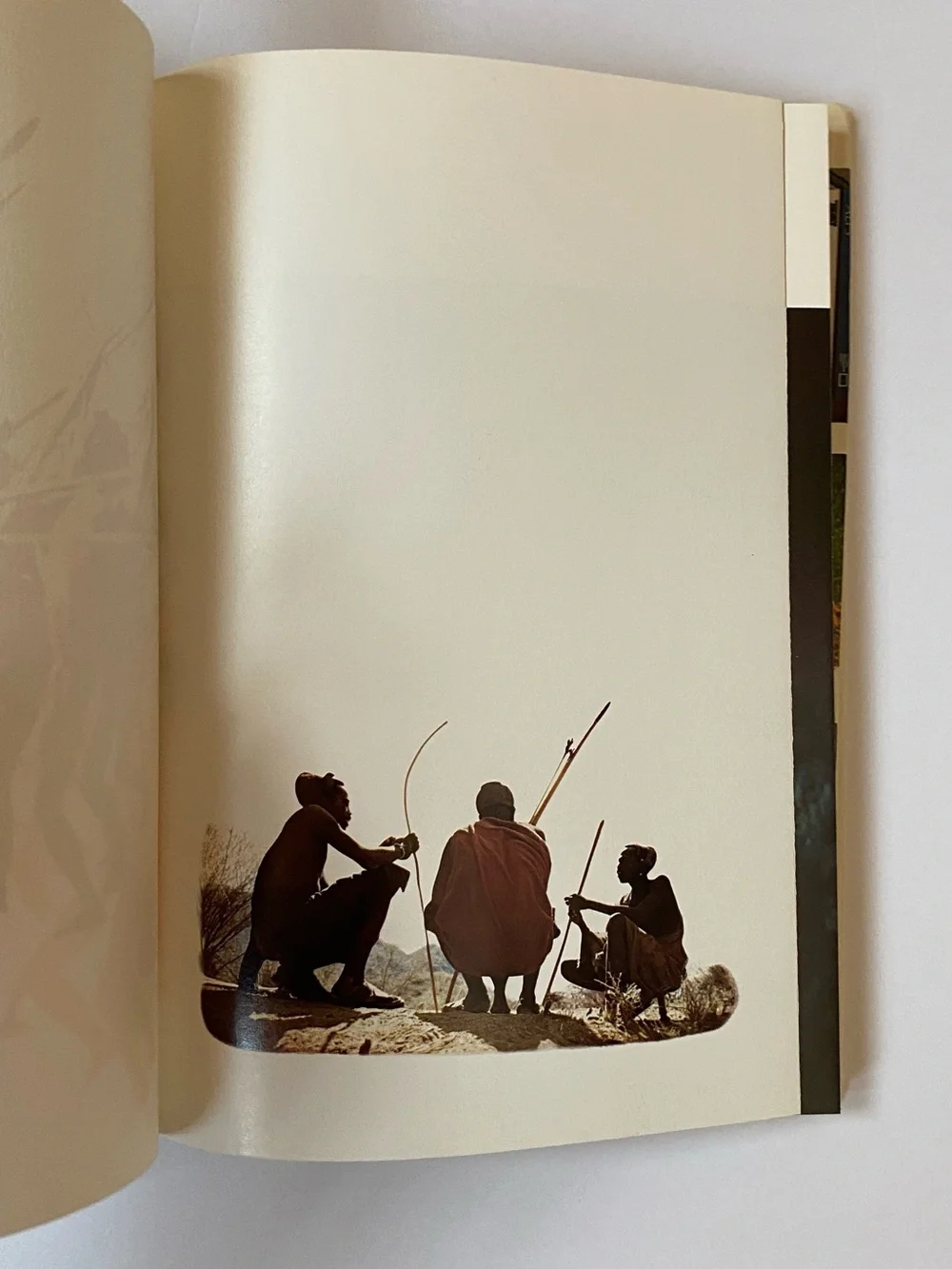 N/A primitive worlds